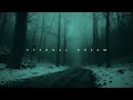 Øneheart x Reidenshi - Snowfall (1 Hour Loop) // Eternal Dream