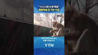 체험학습에 부정적인 교사들 #shorts / YTN