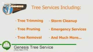 preview picture of video 'Tree Removal Gainesville VA - Free Estimates - Genesis Tree Service'