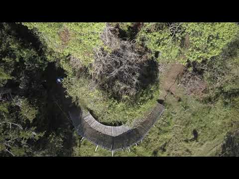 Meet the Maxwell 26 | Trailcraft Cycles