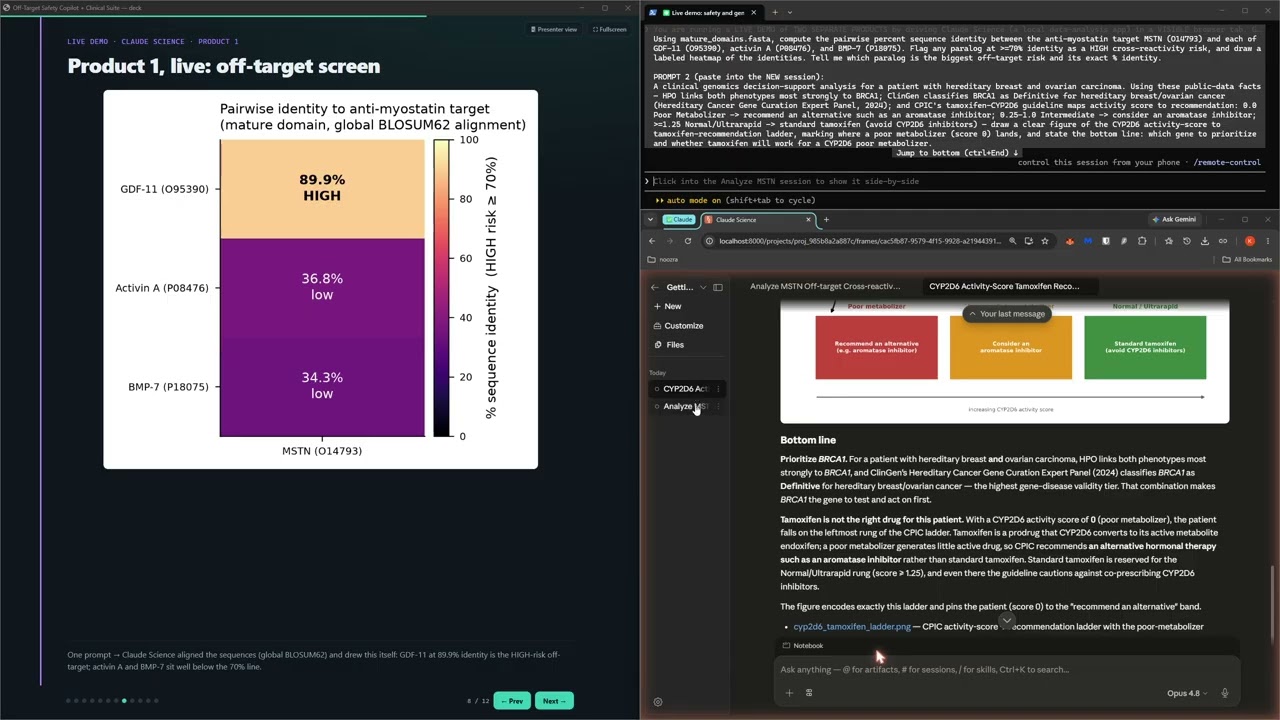 Noozra project preview