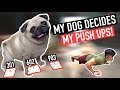 Letting my DOG decide how many PUSH UPS - (CHALLENGE)
