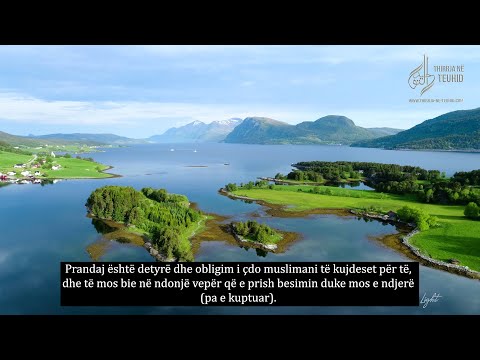 11. A është injoranca arsyetim në bazat e fesë? – 4