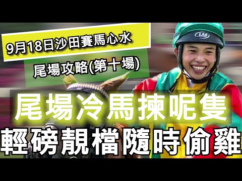 9月18日 沙田日馬賽事HKJC  尾場攻略|尾場冷馬揀呢隻 輕磅靚檔隨時偷雞