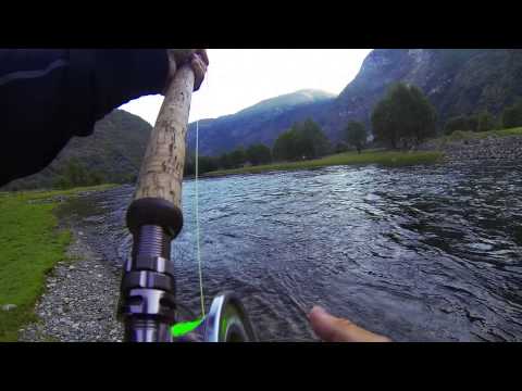 105 cm atlantic salmon in Laerdal