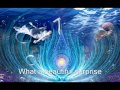 Beautiful Surprise-Deva Premal & Miten 