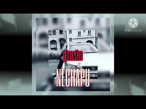 FakinKid - Nechápu (Prod. By Vintage Man)