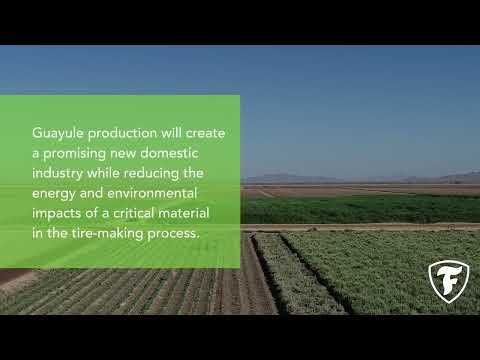 Firestone Tires Guayule video