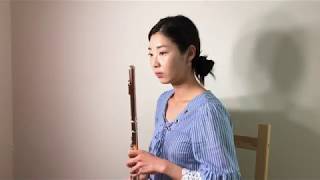 멜로망스 (MELOMANCE) - 좋은날 (GOOD DAY) 미스터 션샤인 OST (MR. SUNSHINE OST) Flute Cover