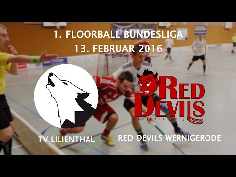Highlights: TV Lilienthal - Red Devils Wernigerode / 12. Spieltag 2015 / 2016