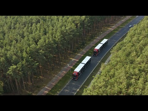 LEGARTO - we take care of everything that is valuable.