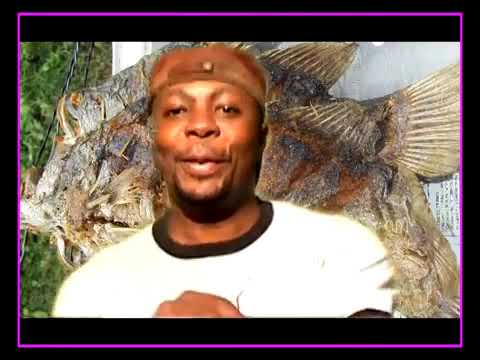 OMENA HAIFUNGI MACHO by Osborn Ibrahim