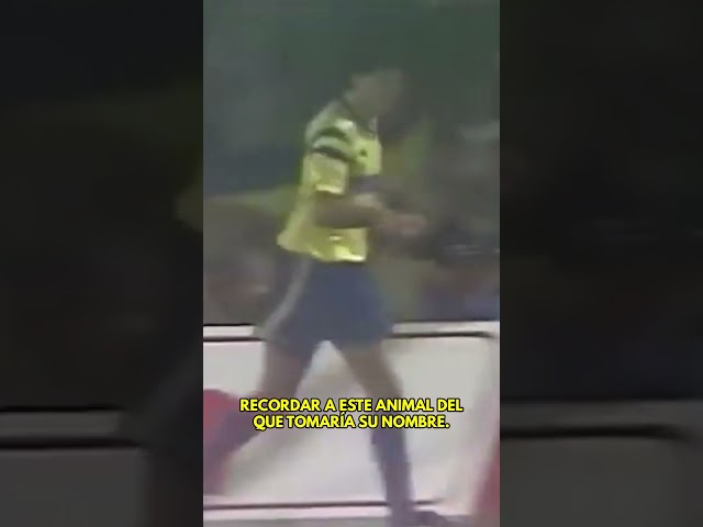 Vídeo relacionado con Lobo Carrasco: Memorias de un mito Culé (DEPORTES)