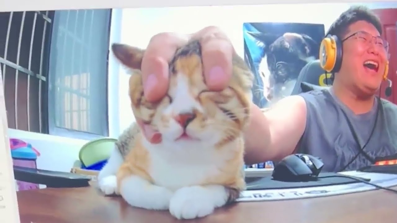 90 MOMENTOS INCRÍVEIS GRAVADOS PELAS CÂMERAS DE VIGILÂNCIA