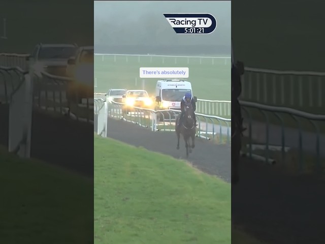 Thumbnail for Post ID: -QqSFWbRADI