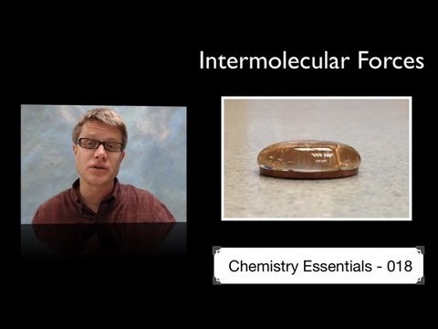 Intermolecular Forces