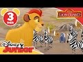 The Lion Guard The Mbali Fields Migration Disneykids