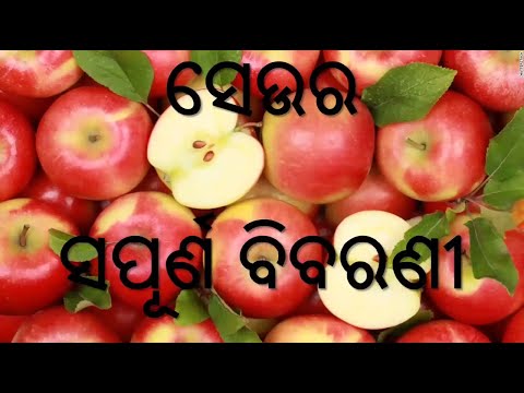 ସେଓ ର ସପୂର୍ଣ ବିବରଣୀ,ALL ABOUT APPLE IN ODIA,ODIA HEALTH TIPS,HEALTH BENEFITS,ODIA BENEFITS,VARKHA