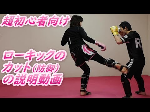 🔰初心者向け ローキックのカット（防御）のやり方の説明 キックボクシングテクニック   #ムエタイ   #新潟市