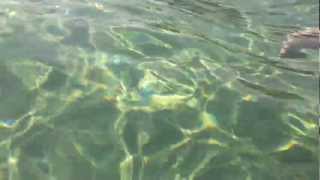 preview picture of video 'Rodi - Golden Beach underwater 2'