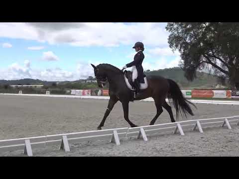 CDI Abrantes - Nicole e Funji