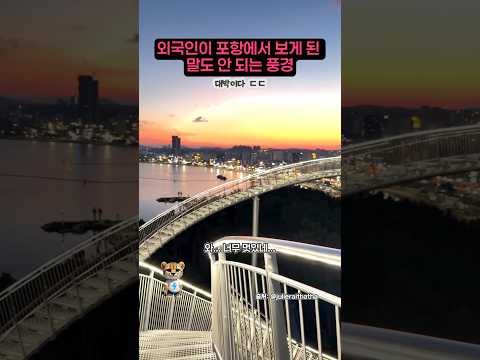 외국인이 포항에서 보게 된 말도 안 되는 풍경