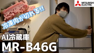 AI技術でさらに進化! 三菱の新型冷蔵庫 MR-B46G 購入レビュー! 【切れちゃう瞬冷凍】