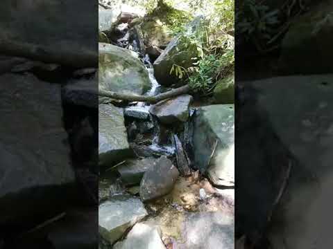 Nearby Wildcat Falls