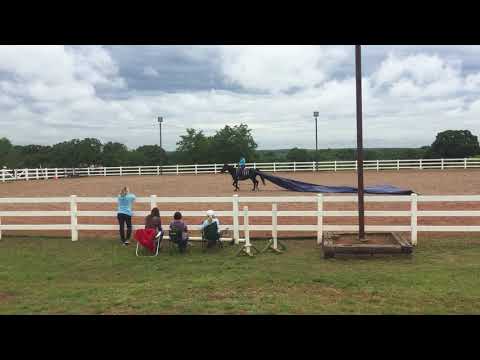 Abby Ocker and Washington competition 2020