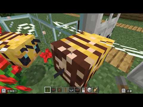 新進國小 麥塊SDGs聯合國永續發展目標 李O龍 -麥塊SDGs程式競賽-112學年第二學期