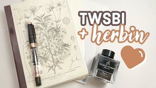 New Pen Day TWSBI Diamond 580 Smoke Rose Gold, Shogun Ink & Hobonichi Notebook Unboxing
