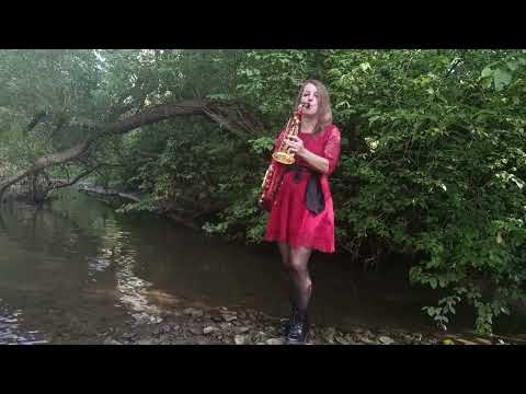 Když milenky pláčou (Karel Gott,1982) Annie´s song(John Denver,1974) voice+sax cover by Mireliz Sax