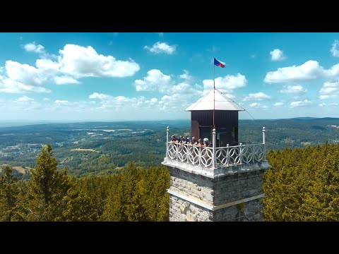 Náhled pro video reference