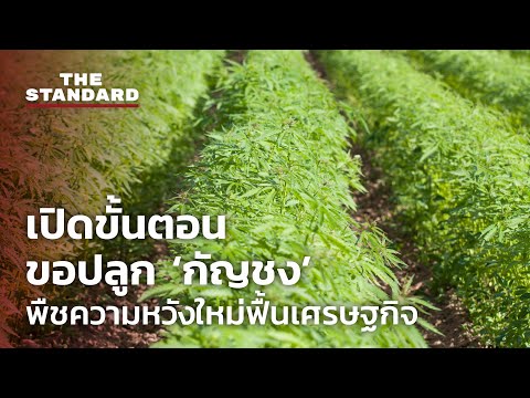 ขั้นตอน