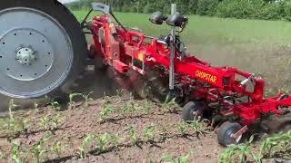 آلة التعشيب والفلاحة Einb&ouml;ck Chopstar 8 | صورة 6 - Agroline