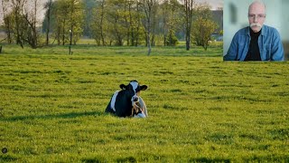 Video-Thumbnail von YouTube