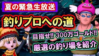 ドラクエ10 実況「釣り金策を生ライブ！初期キャラで300万ゴールドを掴み取れ！」