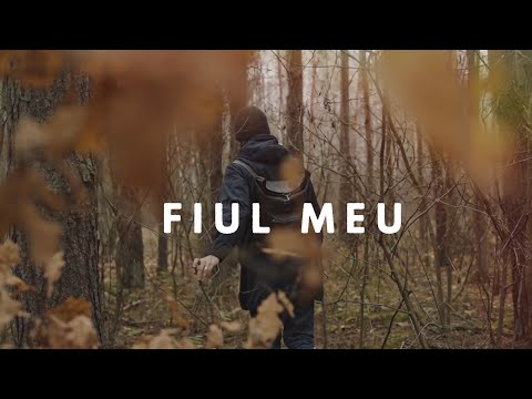 Alin și Emima Timofte - Fiul meu | Amintiri 5