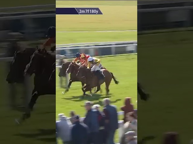 Thumbnail for Post ID: -Qut1QOgAI8