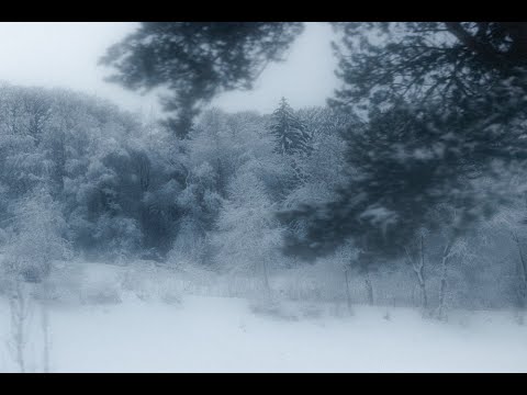 The Glacial Dance of a Frozen Dream