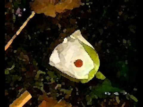 Dj GökcaN feat Miss Bahar & Dj ZaLim Değermiydi Sana 2009