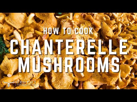 QUICK AND EASY RECIPE - How to Cook Chanterelle Mushrooms!