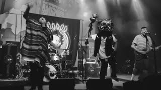 Voodoo Glow Skulls | “The Delinquent Song” Live in Seattle, WA 2023