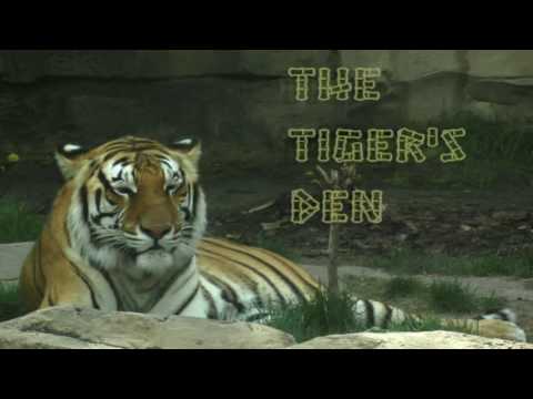 October 10th Trade What You See with Larry Pesavento on TFNN - 2016