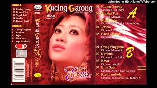 Download lagu KUCING GARONG by Erna Sari. Full Single Album Disco Dangdut. mp3