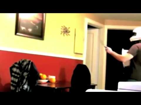 研究者らがオーストラリアで巨大クモを発見 – 「これまでに発見された中で最大のもの」