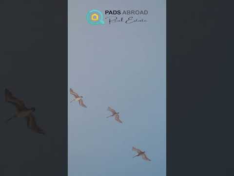 صورة مصغرة لفيديو العقار