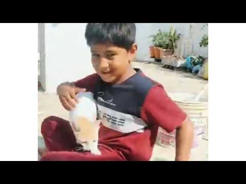 Nihal with cat 🐈 eating 😍❤️