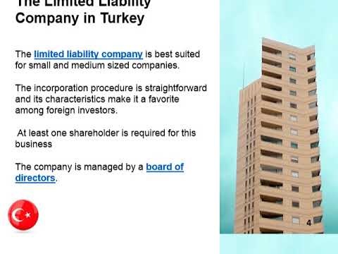 Turkey best companies