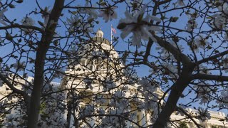 Dignity Health | Salud Con Dignidad